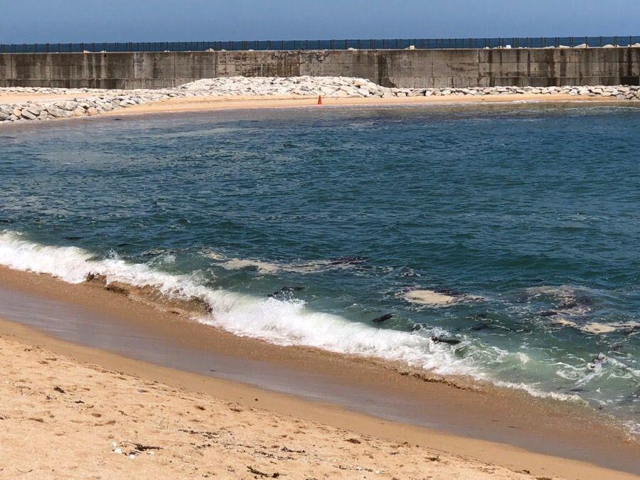 韓國束草燈塔海邊，欣賞藍色大海的海景。